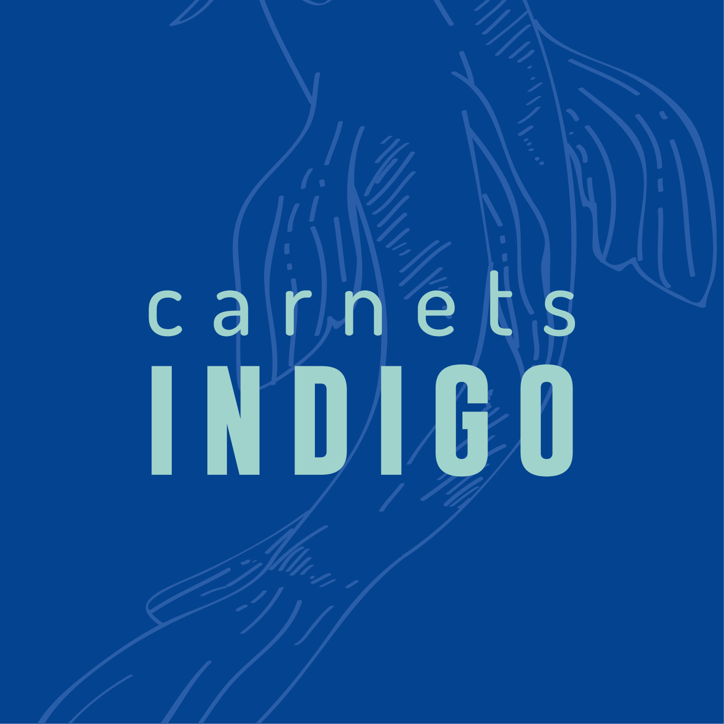 Carnets Indigo