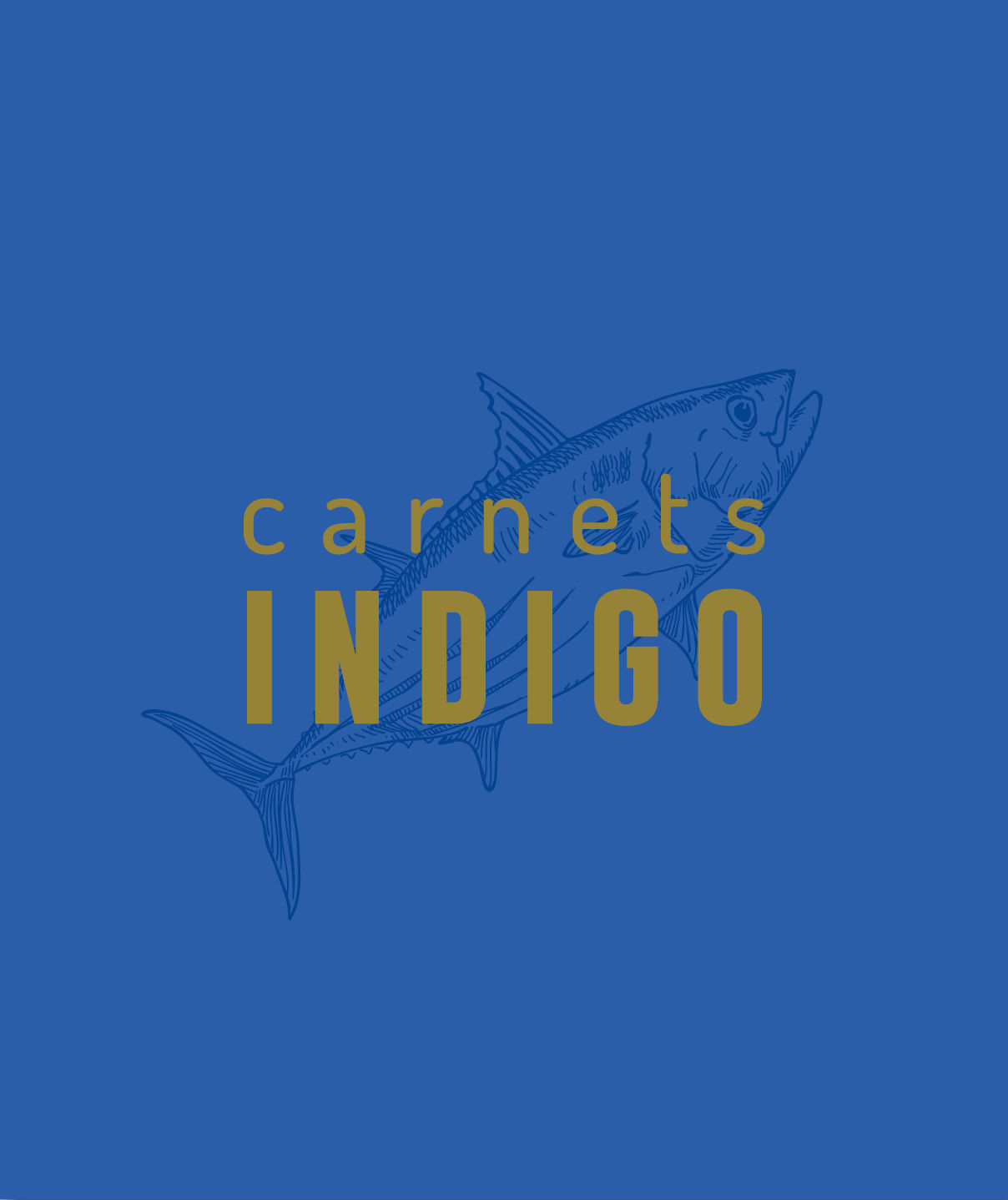 Carnets Indigo